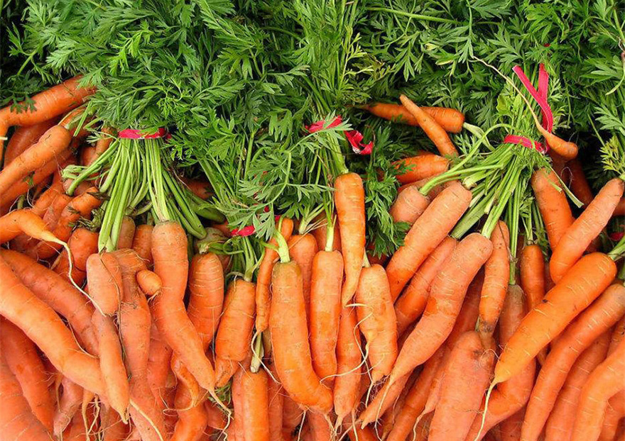 华体会网站赞助了皇马